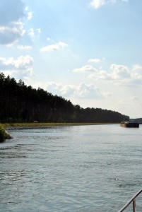 sm_DSC_0394