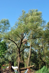 sm_DSC_0441