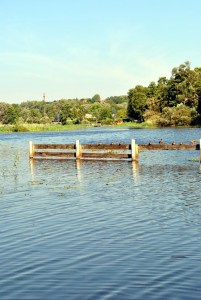 sm_DSC_0445