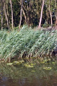 sm_DSC_0448