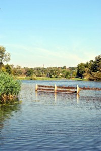 sm_DSC_0450