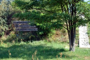 sm_DSC_0454