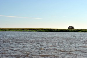 sm_DSC_0462