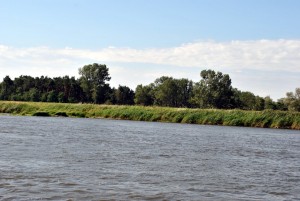sm_DSC_0465