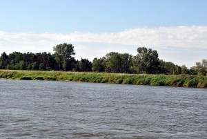 sm_DSC_0466