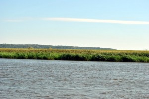 sm_DSC_0471