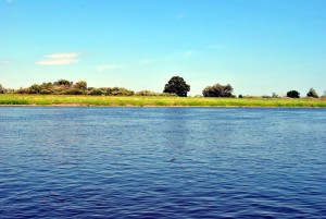 sm_DSC_0473