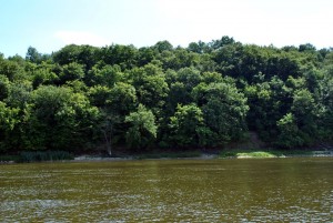 sm_DSC_0475