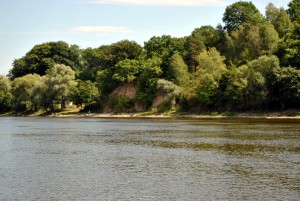 sm_DSC_0477