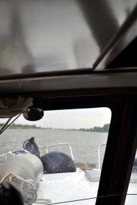 sm_DSC_0483