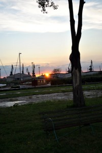 sm_DSC_0514