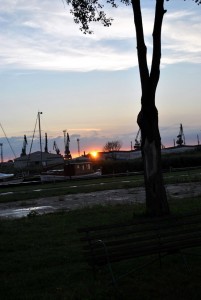 sm_DSC_0515