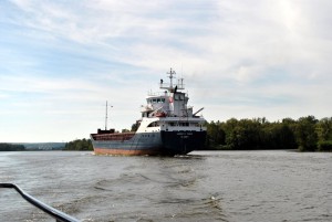 sm_DSC_0552