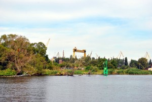 sm_DSC_0554