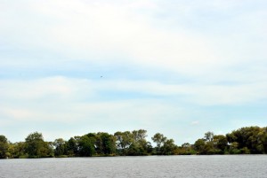 sm_DSC_0575