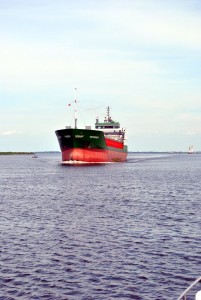 sm_DSC_0580