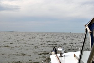 sm_DSC_0609
