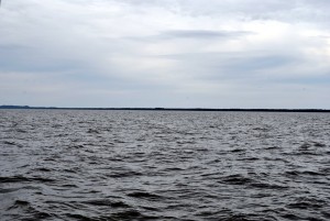 sm_DSC_0610