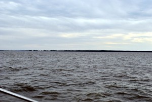 sm_DSC_0611