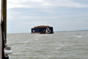 sm_DSC_0629