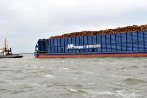 sm_DSC_0635