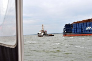 sm_DSC_0636