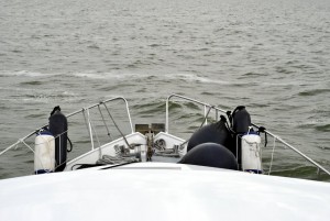 sm_DSC_0638