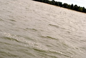 sm_DSC_0641