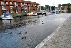sm_DSC_0651