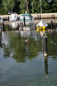 sm_DSC_0665