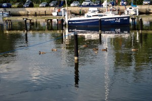 sm_DSC_0667