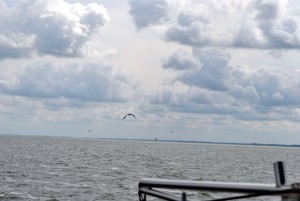 sm_DSC_0693