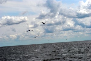 sm_DSC_0695