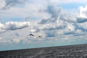 sm_DSC_0696