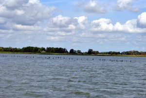 sm_DSC_0697