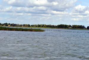 sm_DSC_0698