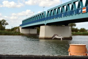 sm_DSC_0717