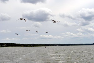 sm_DSC_0720
