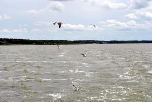 sm_DSC_0721
