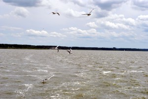 sm_DSC_0722