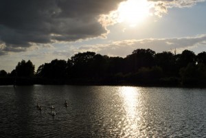 sm_DSC_0734