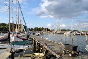 sm_DSC_0736
