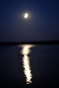 sm_DSC_0772