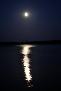 sm_DSC_0773