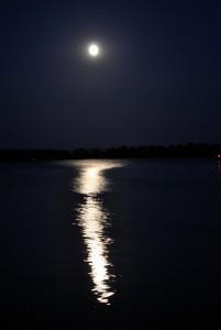 sm_DSC_0774