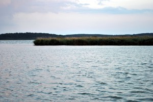 sm_DSC_0787