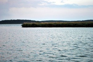 sm_DSC_0788