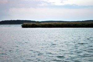 sm_DSC_0789