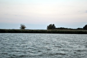 sm_DSC_0790