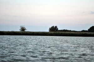 sm_DSC_0791